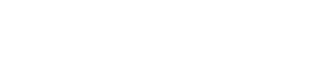 bw西汉姆联中文